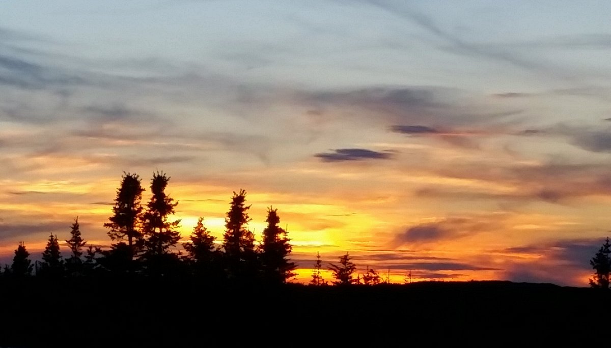 n_bakerfalls_hike (8).jpg